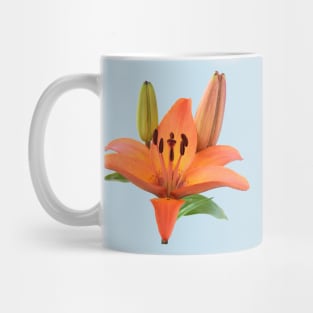 Lilium  &#39;Orange Pixie&#39;  Dwarf Asiatic lily Mug